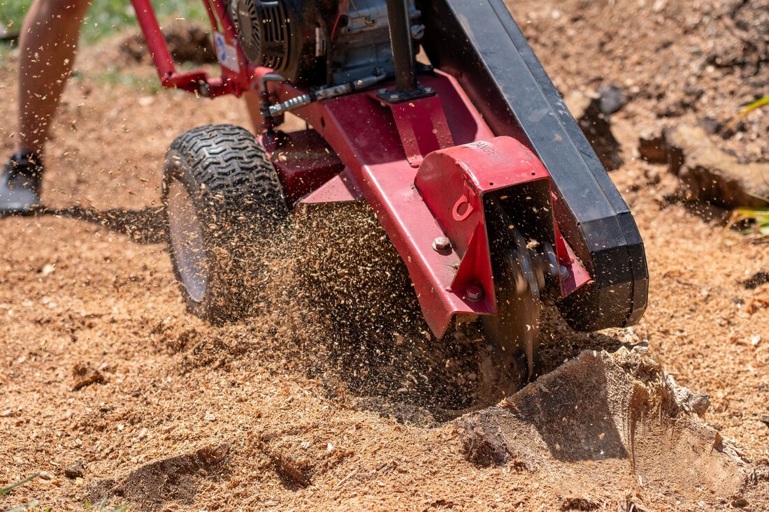 An image of Stump Grinding/Removal in Rowland Heights CA